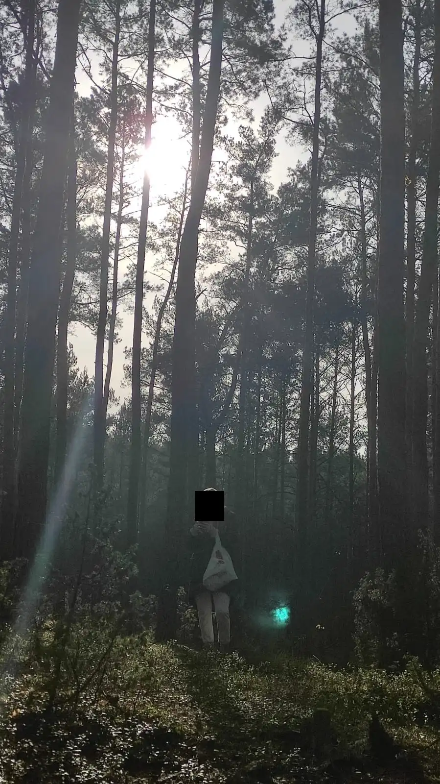 Rzekome orby czyli tak naprawdę flary