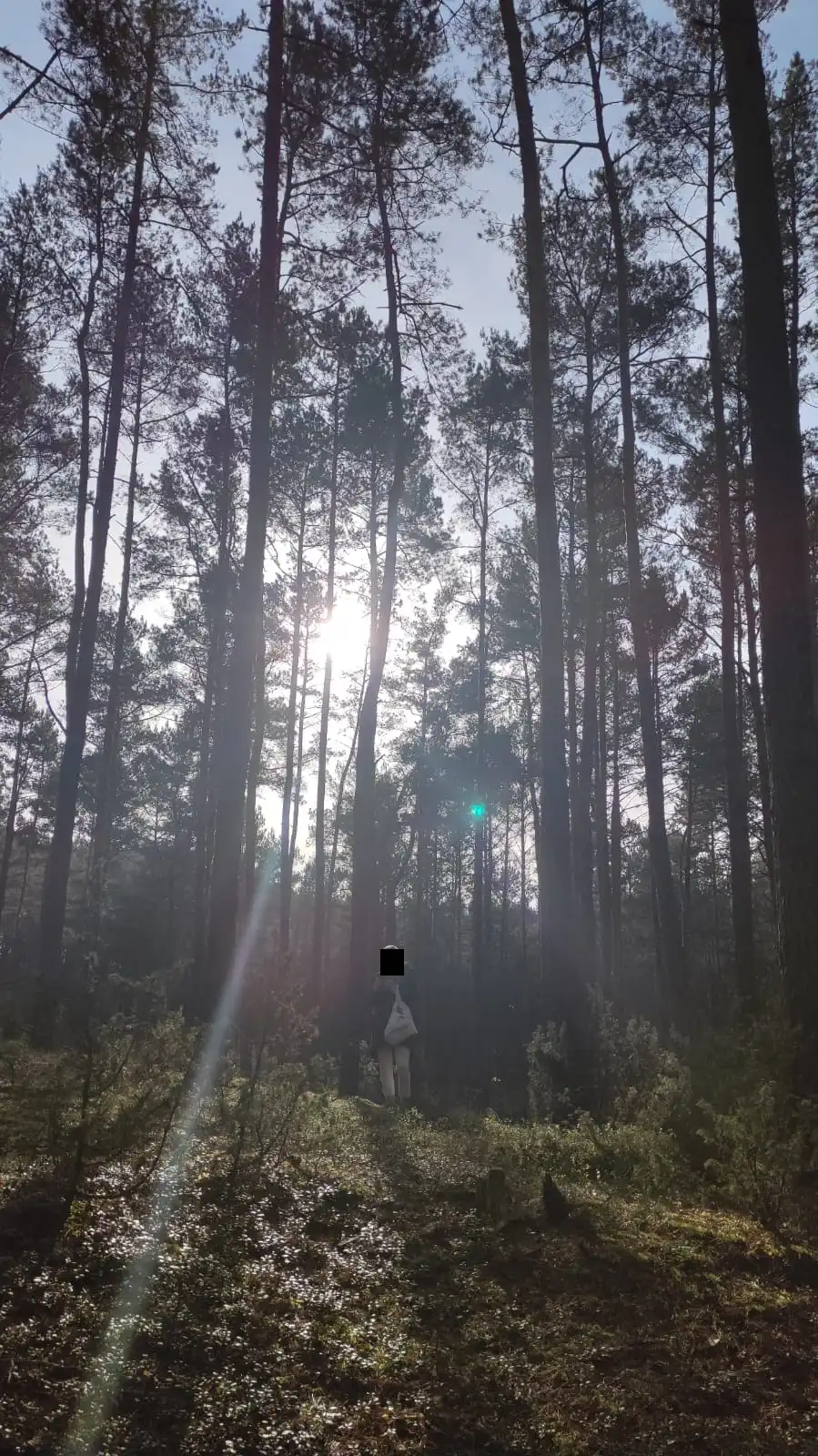 Rzekome orby czyli tak naprawdę flary